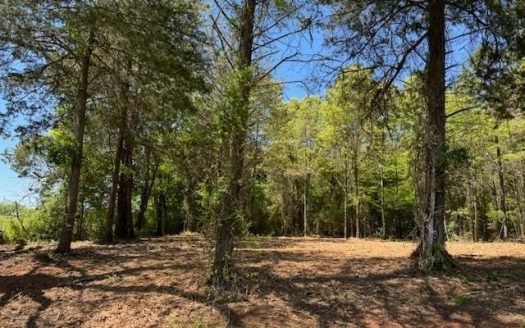 photo for a land for sale property for 42251-09038-Mount Pleasant-Texas