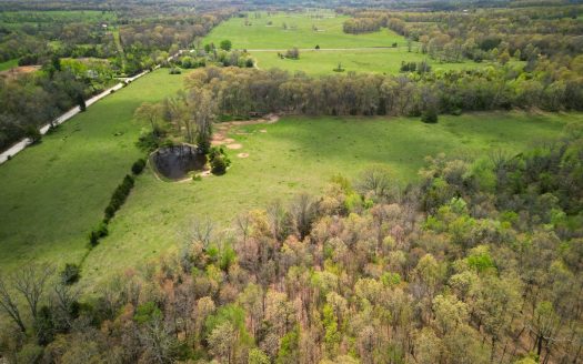 photo for a land for sale property for 24084-66190-Mountain View-Missouri