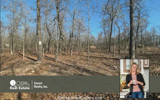 photo for a land for sale property for 24078-93150-Myrtle-Missouri