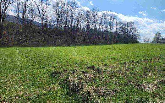 photo for a land for sale property for 45091-40699-Narrows-Virginia