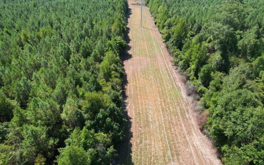 photo for a land for sale property for 23044-40053-New Hebron-Mississippi