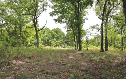 photo for a land for sale property for 03061-61450-Norfork-Arkansas