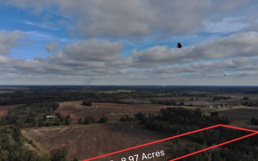 photo for a land for sale property for 01050-23003-Pansey-Alabama