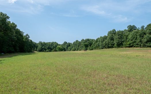 photo for a land for sale property for 24084-65950-Protem-Missouri