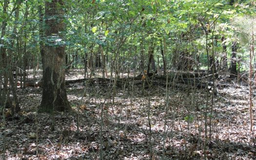 photo for a land for sale property for 24084-65940-Protem-Missouri
