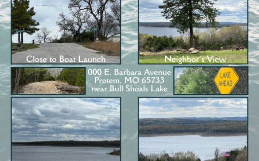 photo for a land for sale property for 24084-66050-Protem-Missouri
