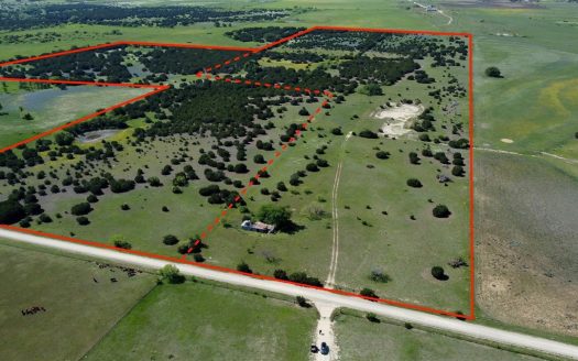 photo for a land for sale property for 42254-00253-Purmela-Texas