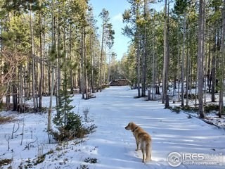 photo for a land for sale property for 05079-11577-Red Feather Lakes-Colorado