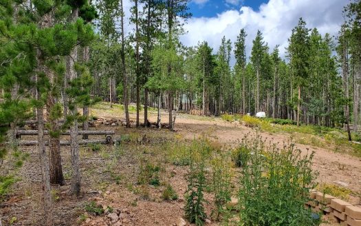 photo for a land for sale property for 05079-11573-Red Feather Lakes-Colorado