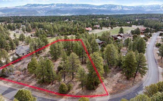 photo for a land for sale property for 05056-06209-Ridgway-Colorado