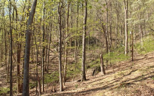 photo for a land for sale property for 45038-00928-Roanoke-Virginia