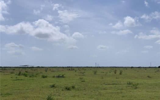 photo for a land for sale property for 42281-40510-Robstown-Texas