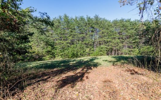 photo for a land for sale property for 45038-92413-Rocky Mount-Virginia