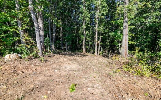 photo for a land for sale property for 45038-92477-Rocky Mount-Virginia