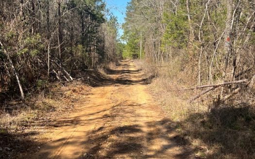 photo for a land for sale property for 03106-22016-Rosston-Arkansas
