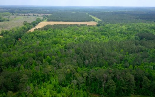 photo for a land for sale property for 01024-24032-Rutledge-Alabama