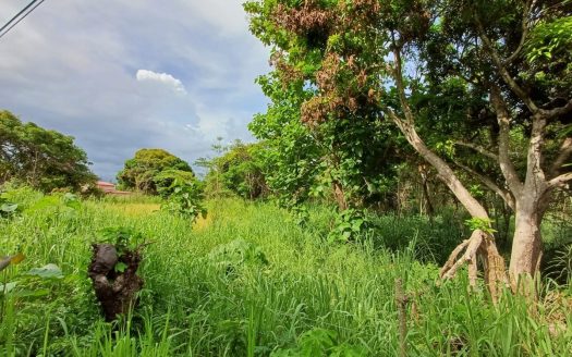 photo for a land for sale property for 60003-24047-San Carlos-Panama
