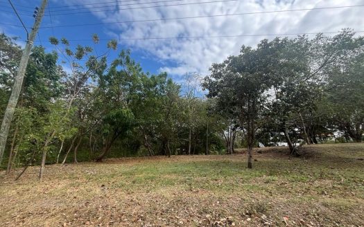 photo for a land for sale property for 60003-24056-San Carlos-Panama