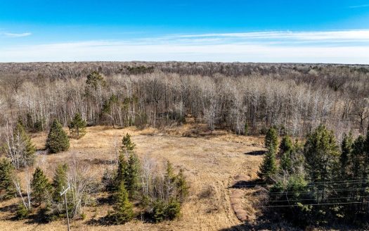 photo for a land for sale property for 22200-24133-Sandstone-Minnesota