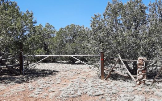 photo for a land for sale property for 02036-24038-Seligman-Arizona