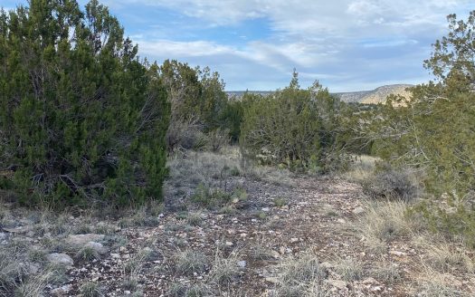 photo for a land for sale property for 02036-24063-Seligman-Arizona