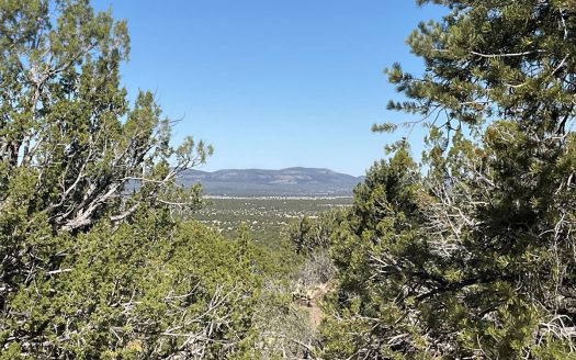 photo for a land for sale property for 02036-24064-Seligman-Arizona