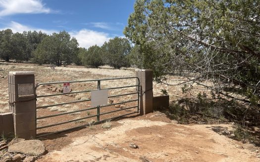 photo for a land for sale property for 02036-24066-Seligman-Arizona