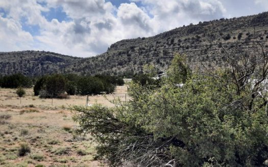 photo for a land for sale property for 02036-24090-Seligman-Arizona
