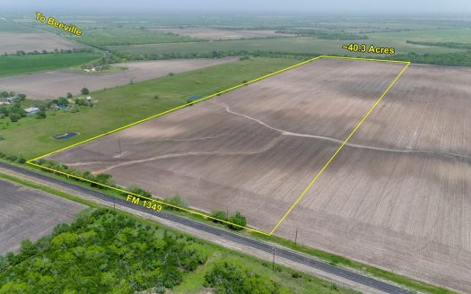 photo for a land for sale property for 42281-40040-Skidmore-Texas