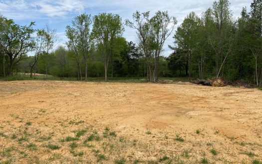 photo for a land for sale property for 41060-05313-Stantonville-Tennessee