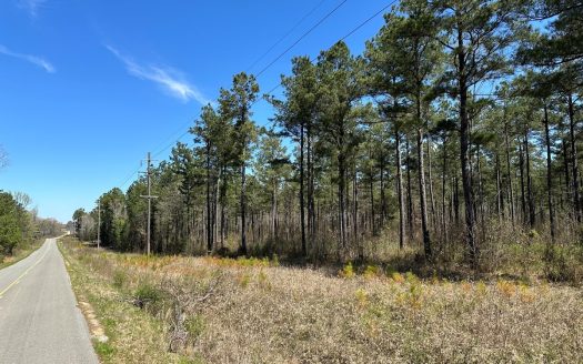 photo for a land for sale property for 03019-03887-Star City-Arkansas