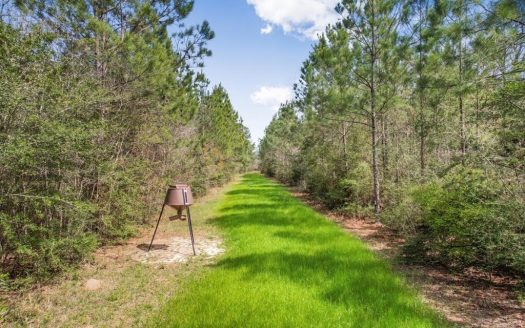 photo for a land for sale property for 23042-41066-Summit-Mississippi