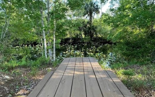photo for a land for sale property for 09090-89658-Suwannee-Florida