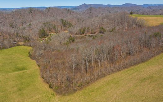 photo for a land for sale property for 41095-04504-Tazewell-Tennessee