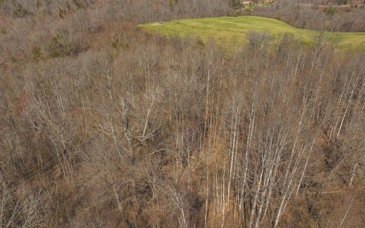 photo for a land for sale property for 41095-04508-Tazewell-Tennessee