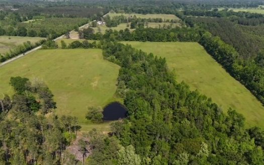 photo for a land for sale property for 01062-06002-Thomaston-Alabama