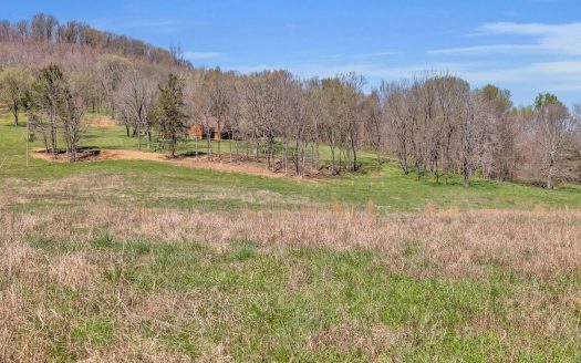 photo for a land for sale property for 41061-26361-Thompson's Station-Tennessee