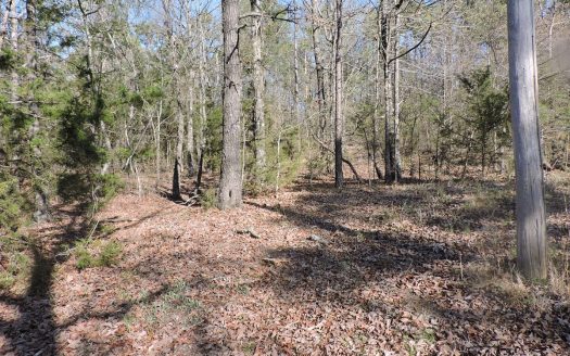 photo for a land for sale property for 03051-11414-Waldron-Arkansas