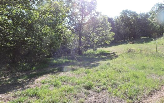 photo for a land for sale property for 03051-11419-Waldron-Arkansas