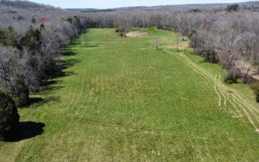 photo for a land for sale property for 41093-26662-Waverly-Tennessee