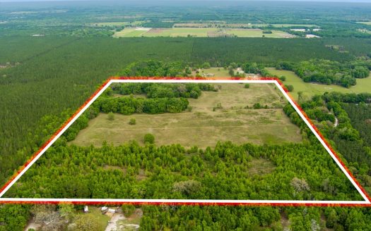 photo for a land for sale property for 09090-22959-Wellborn-Florida