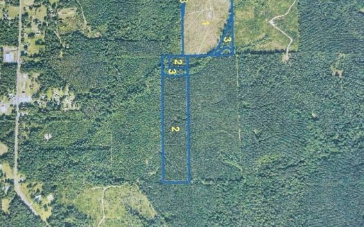 photo for a land for sale property for 23042-96950-Weston-Louisiana