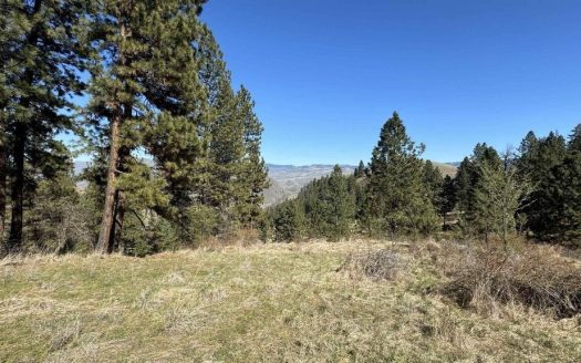 photo for a land for sale property for 11015-10442-White Bird-Idaho