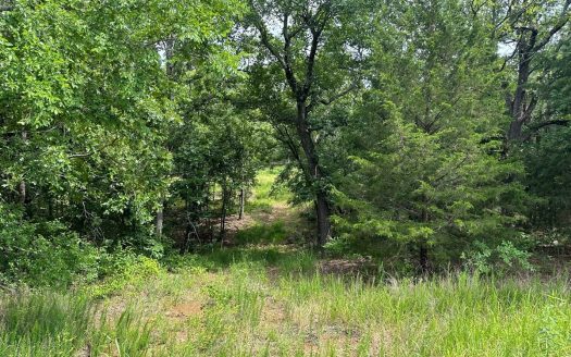 photo for a land for sale property for 35106-12123-Wilburton-Oklahoma