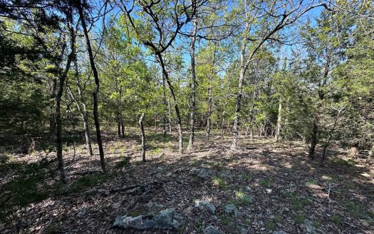 photo for a land for sale property for 35106-41324-Wilburton-Oklahoma