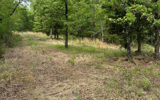 photo for a land for sale property for 35106-42424-Wilburton-Oklahoma