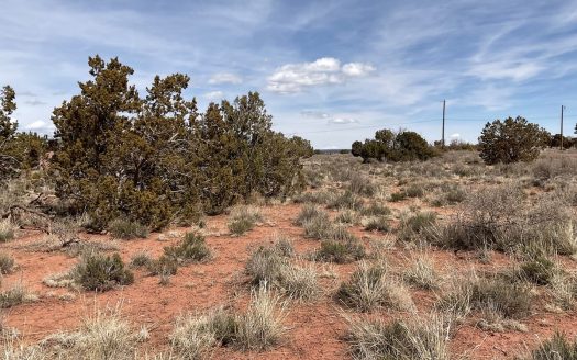 photo for a land for sale property for 02036-24058-Williams-Arizona