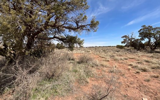 photo for a land for sale property for 02036-24059-Williams-Arizona