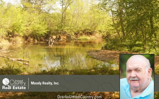 photo for a land for sale property for 03075-41957-Williford-Arkansas