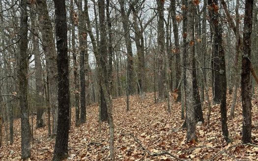 photo for a land for sale property for 03065-30880-Williford-Arkansas